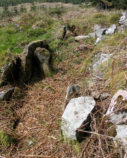 Image of Auchoish (Chambered Cairn) by greywether
