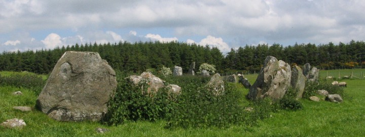 Image of Beltany (Stone Circle) by greywether