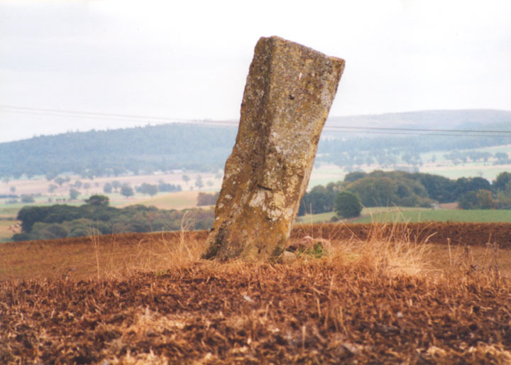 Image of Airlie (Standing Stone / Menhir) by BigSweetie