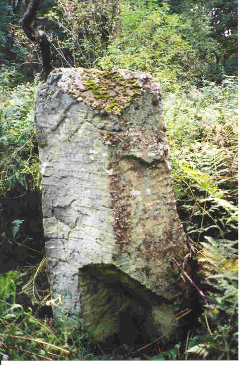 Image of Newhouse Standing Stone by Martin