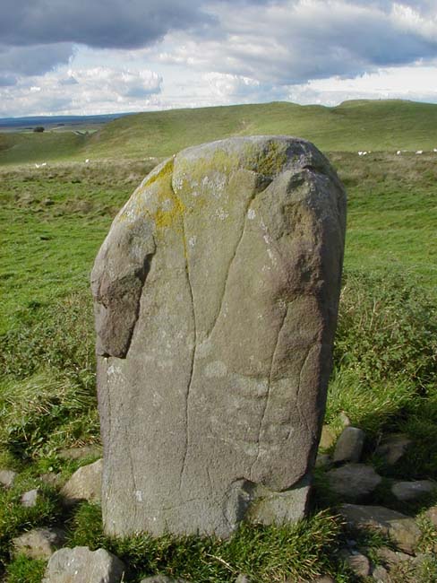 Image of The Mare and Foal (Standing Stones) by Hob