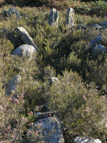 Image of Slewcairn (Chambered Cairn) by greywether
