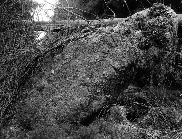 Image of Waterhead Standing Stones by tumulus