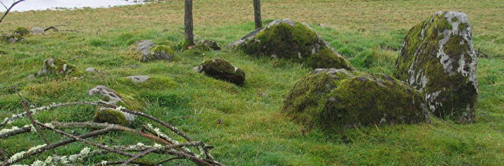 Image of Muir of Conan (Chambered Cairn) by greywether