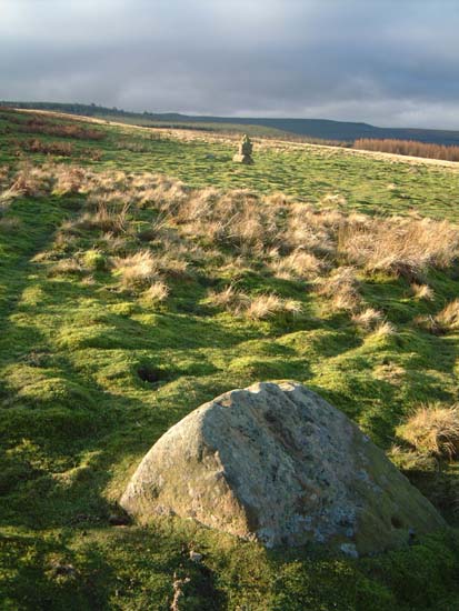Image of Barningham Moor (Cup and Ring Marks / Rock Art) by Hob