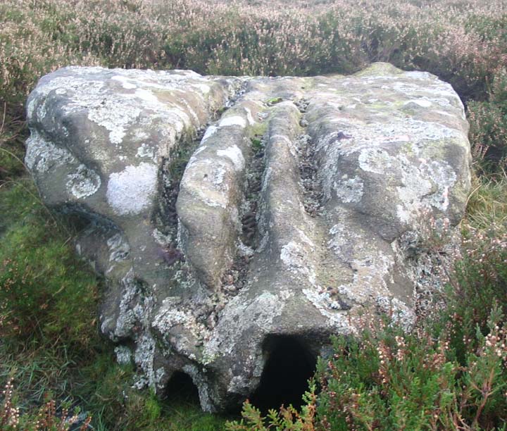 Image of The Old Woman’s Stone (Standing Stone / Menhir) by fitzcoraldo