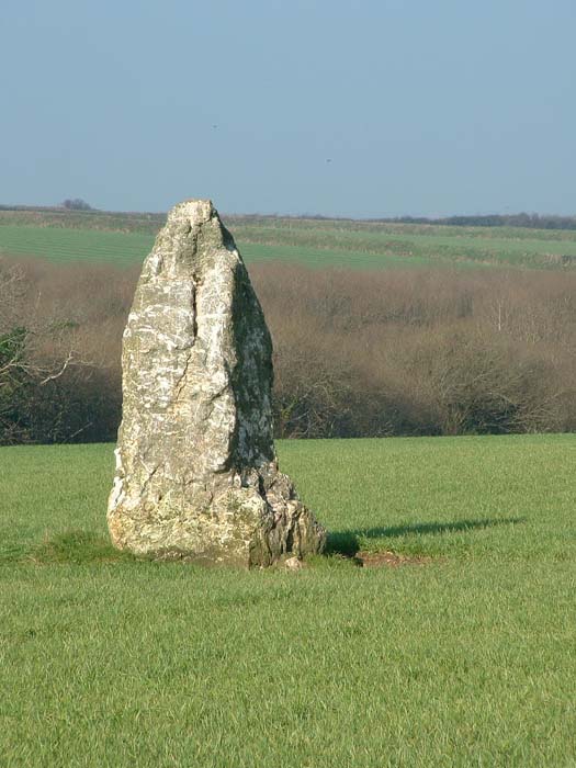 Image of The Long Stone (Standing Stone / Menhir) by phil