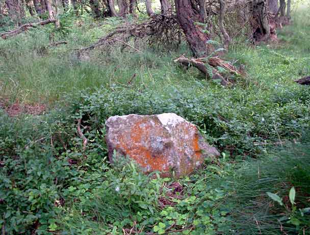 Image of Culbone Hill (Stone Row / Alignment) by baza