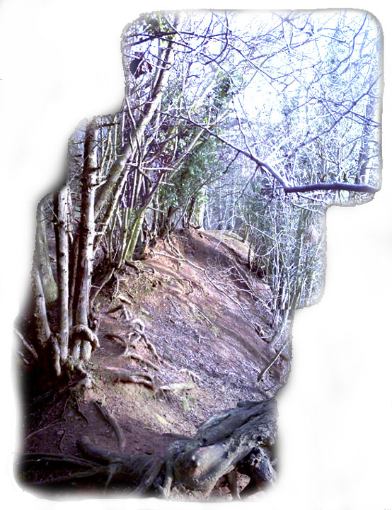 Image of Hunsbury Hill (Hillfort) by heptangle