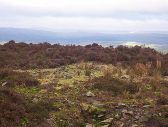 Image of Bleara Lowe (Round Cairn) by treehugger-uk