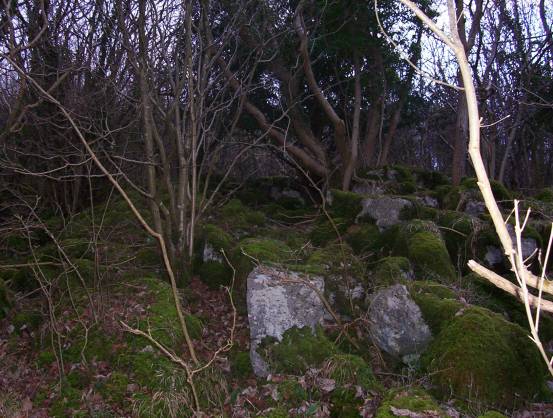 Image of Warton Crag (Hillfort) by treehugger-uk