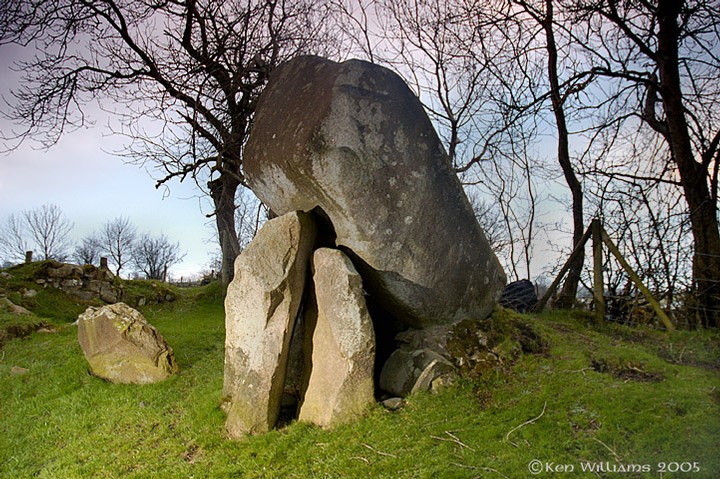 Image of Goward (Portal Tomb) by CianMcLiam