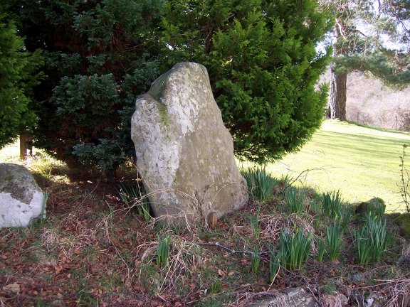 Image of Balholmie (Standing Stone / Menhir) by nickbrand