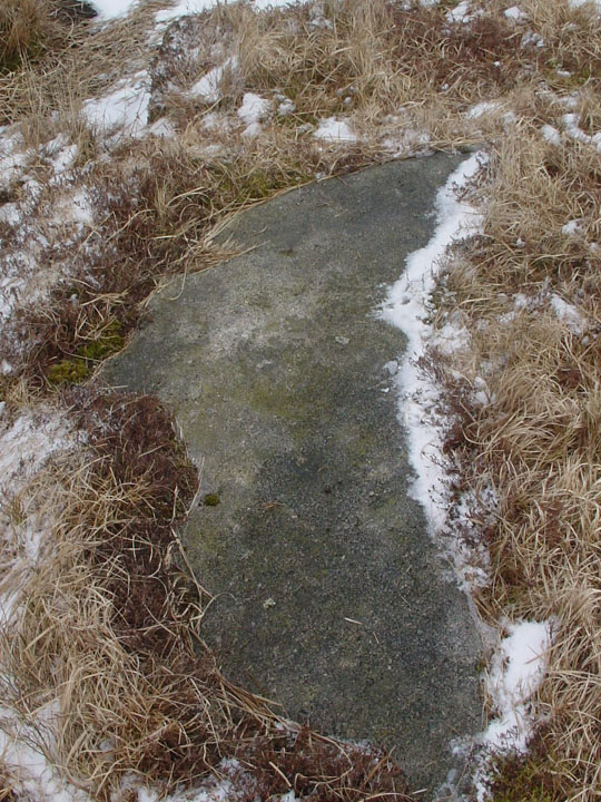 Image of Cut Hill (Stone Row / Alignment) by Erik the Red