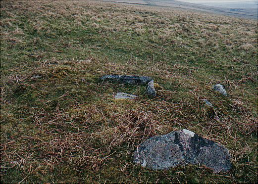 Image of Legis Tor Cist by Lubin
