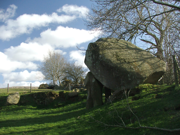 Image of Goward (Portal Tomb) by megaman