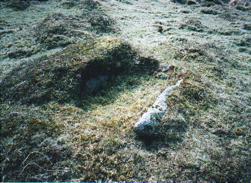 Image of Hen Tor North / Shavercombe Brook (Cairn(s)) by Lubin