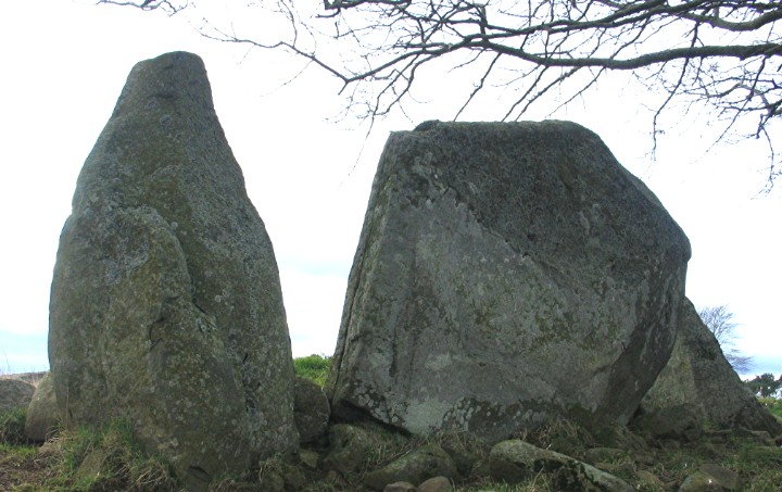Image of Dunnydeer Farm (Stone Circle) by greywether