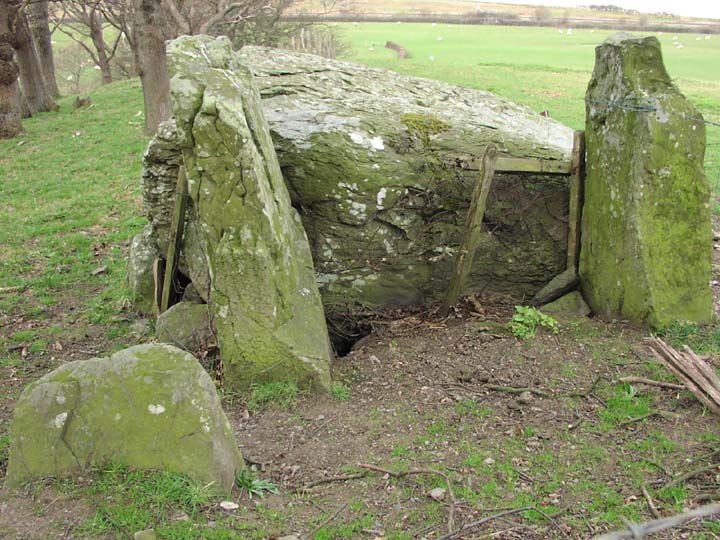 Image of Hendre Waelod (Dolmen / Quoit / Cromlech) by treaclechops