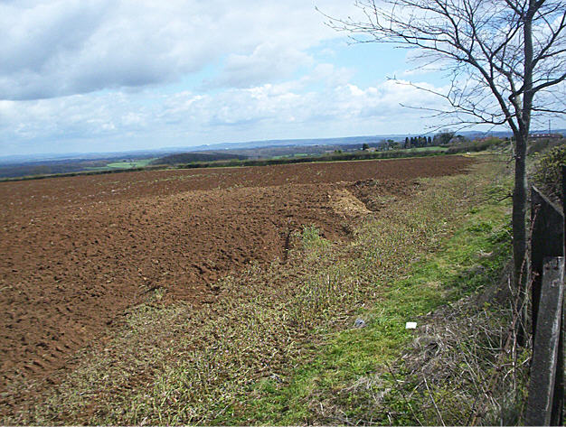 Image of Big Tree Long Barrow by hamish