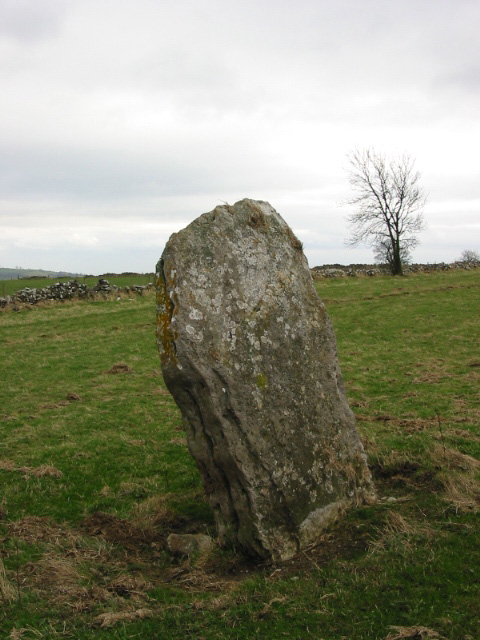 Image of Wirksworth I (Standing Stone / Menhir) by stubob