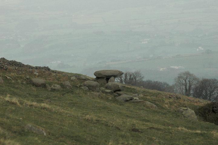 Image of Maen-y-Bardd (Dolmen / Quoit / Cromlech) by Moth