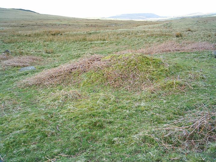 Image of Banniside (Stone Circle) by The Eternal