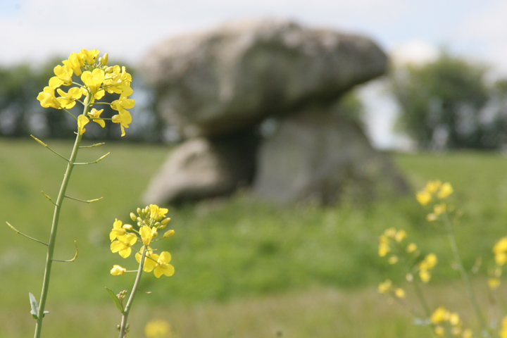 Image of Devil’s Den (Chambered Tomb) by photobabe