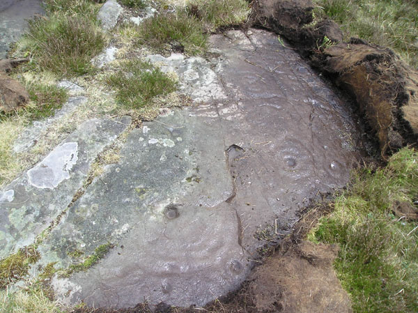 Image of Craig Hill (Cup and Ring Marks / Rock Art) by tiompan