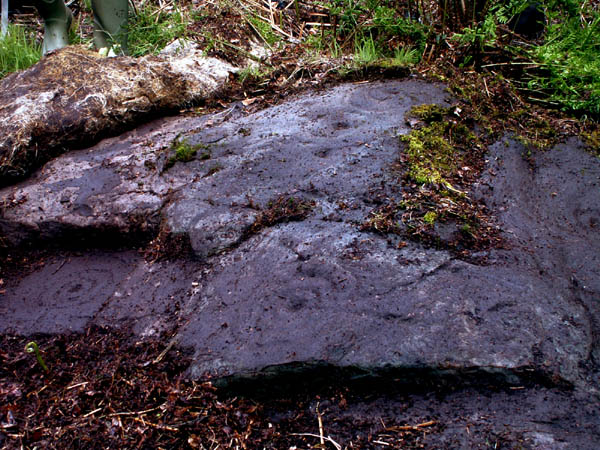 Image of North Plantation (Cup and Ring Marks / Rock Art) by rockartwolf