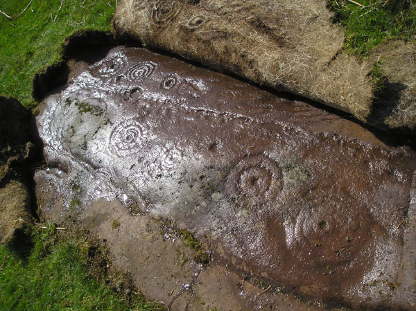 Image of Menteith (Cup and Ring Marks / Rock Art) by tiompan