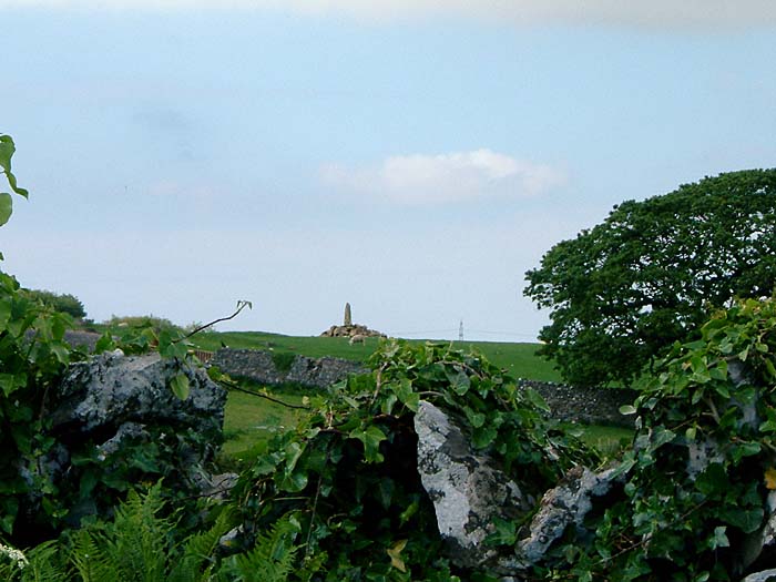 Image of Tyddyn Bach Standing Stone by stubob
