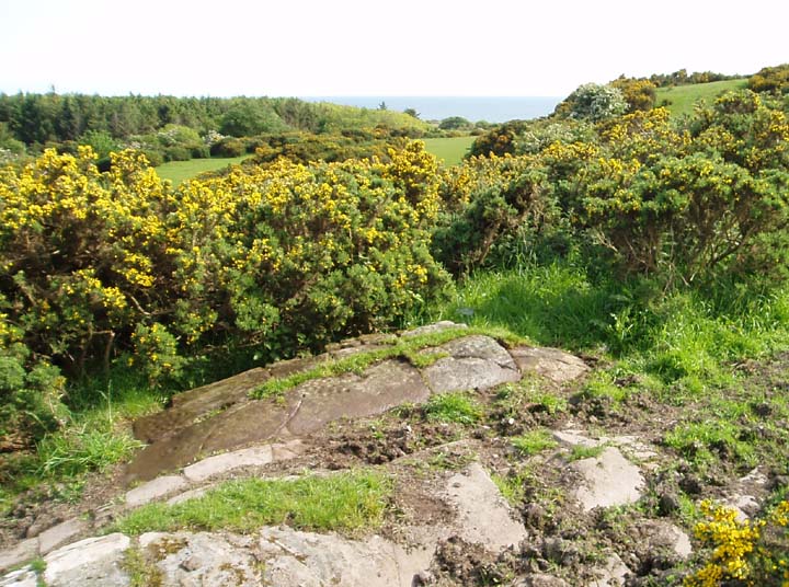 Image of Torrs 3 (Cup and Ring Marks / Rock Art) by pebblesfromheaven