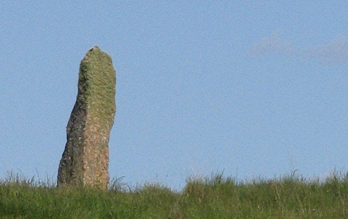 Image of Tom Nan Carragh (Stone Row / Alignment) by greywether