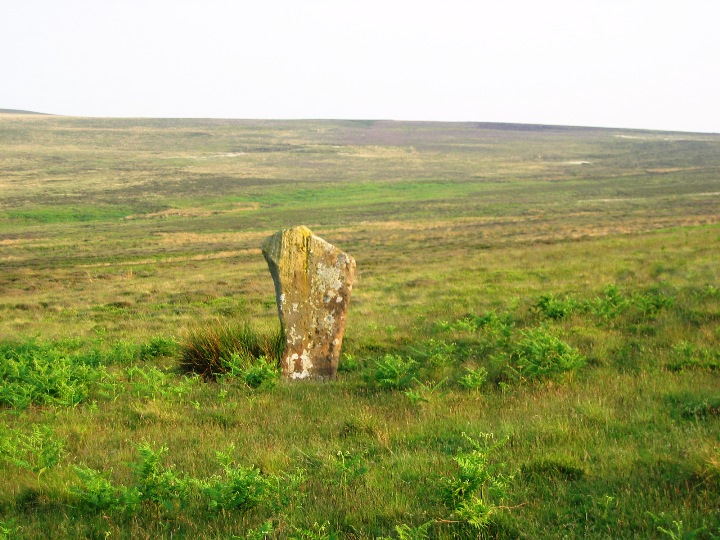Image of Glaisdale Swang Stones (Standing Stone / Menhir) by fitzcoraldo