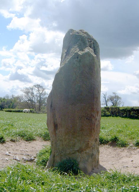 Image of Newtown Mill (Standing Stone / Menhir) by Hob