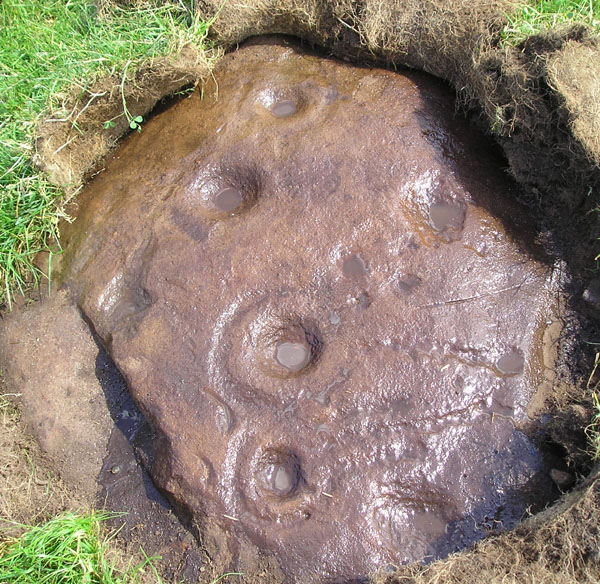 Image of Hill of Prieston (Cup and Ring Marks / Rock Art) by tiompan