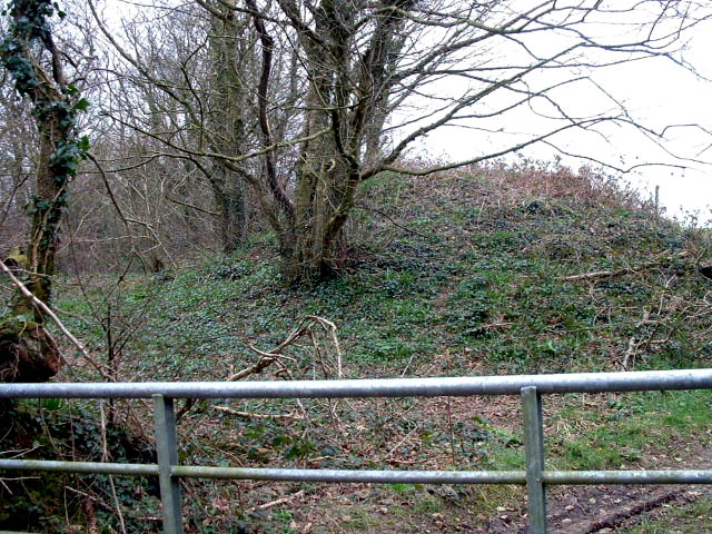Image of Golden Hillfort by phil