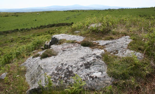 Image of Chatton (Cup and Ring Marks / Rock Art) by Hob