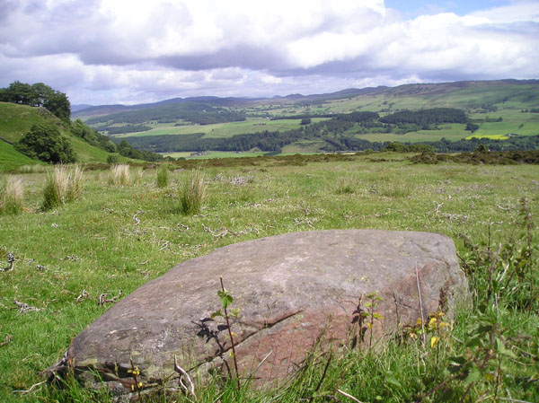 Image of Creag Na Larach (Cup Marked Stone) by tiompan