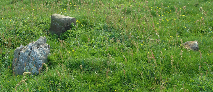 Image of Knowe of Geoso (Chambered Cairn) by wideford