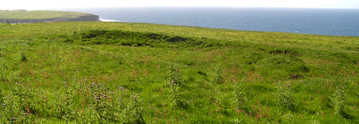 Image of Knowe of Geoso (Chambered Cairn) by wideford