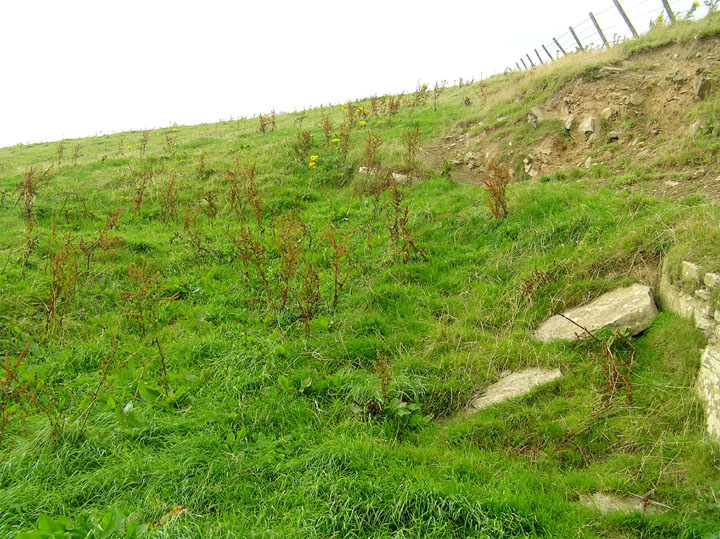 Image of Lingrow (Chambered Tomb) by wideford