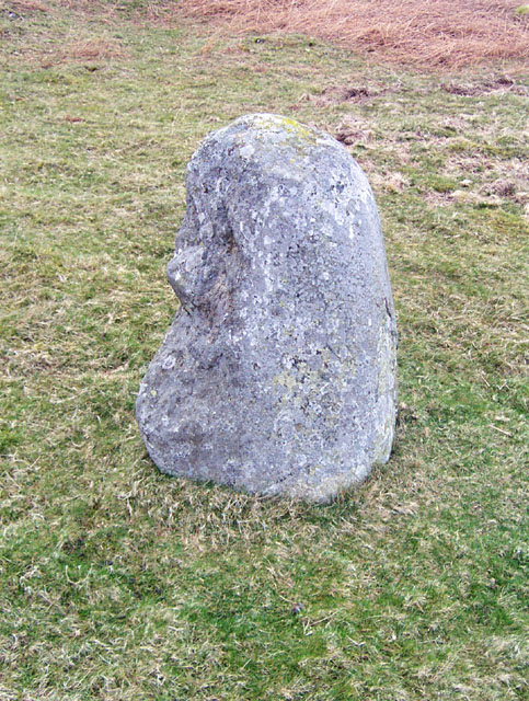 Image of Caerhun Stones (Standing Stones) by IronMan