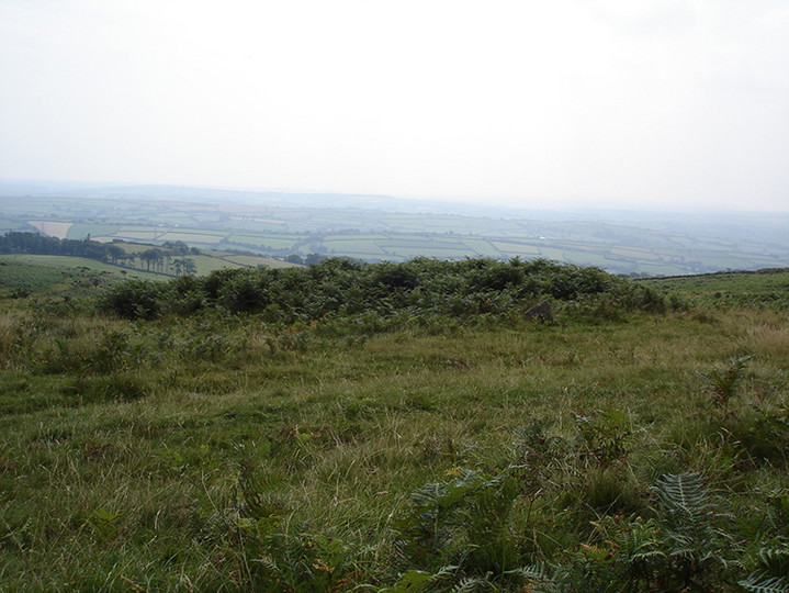 Image of Butterdon Hill Chambered Tomb by Lubin
