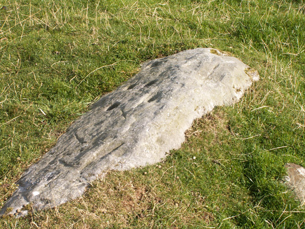 Image of Chatton (Cup and Ring Marks / Rock Art) by rockartwolf