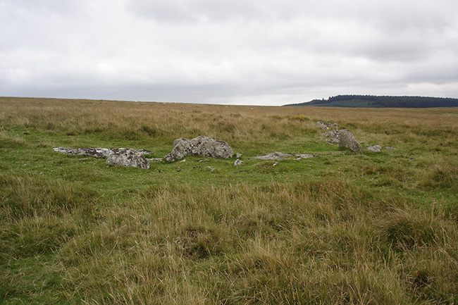 Image of Shovel Down & The Long Stone (Multiple Stone Rows / Avenue) by Lubin