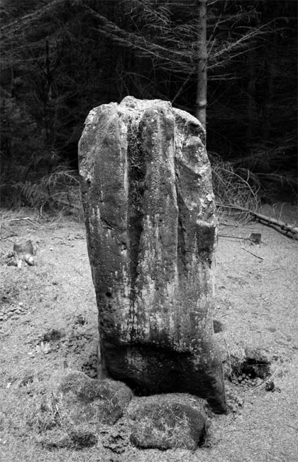 Image of Bygate Hill (Standing Stone / Menhir) by Hob