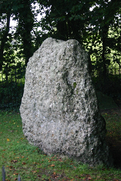 Image of The Nine Stones of Winterbourne Abbas (Stone Circle) by hrothgar
