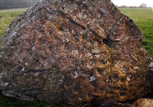 Image of Beltany (Stone Circle) by CianMcLiam